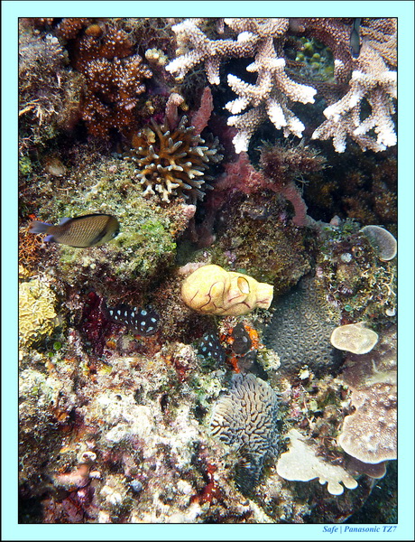 2012 - 07 - Boracay plongee - 12